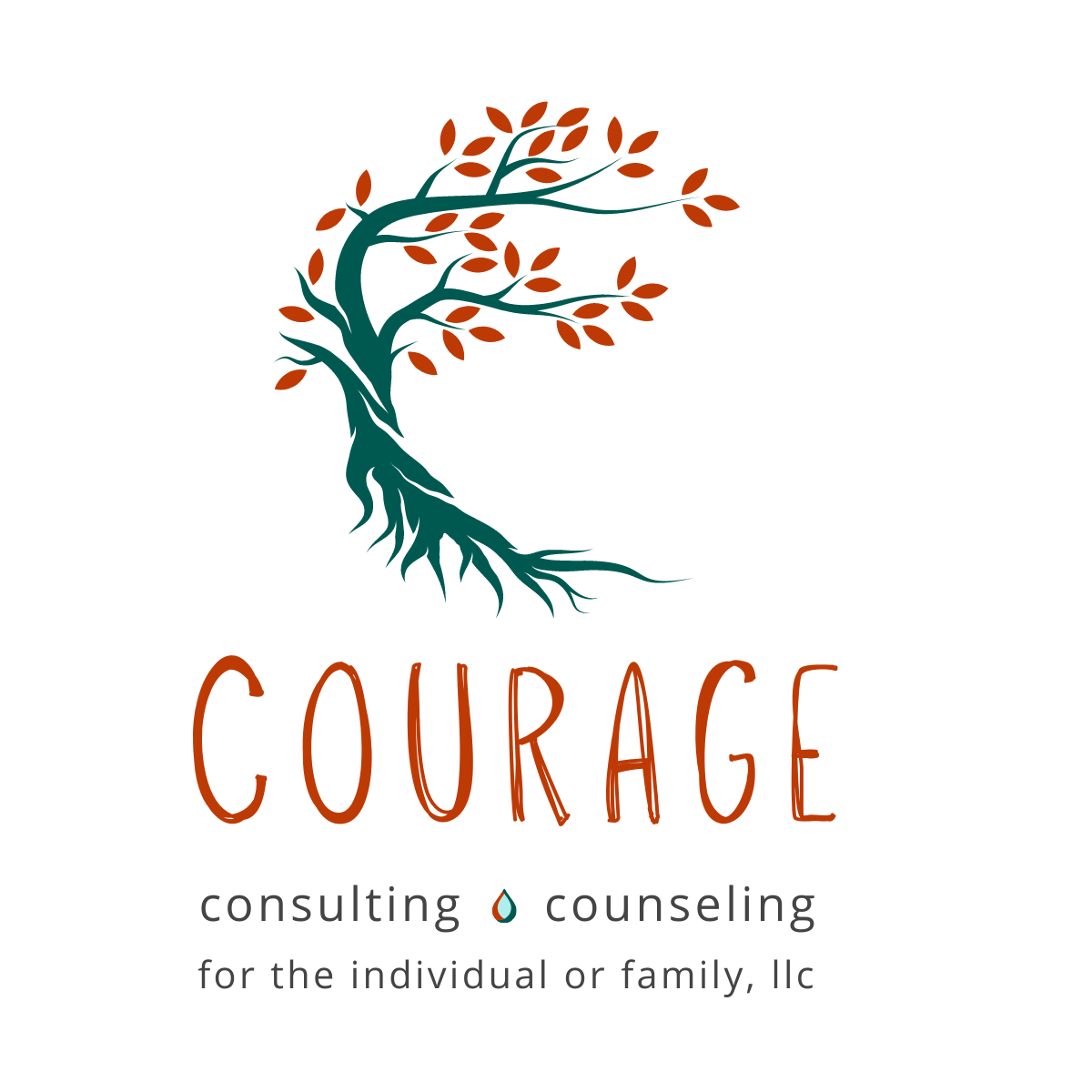 Courage Consulting and Counseling